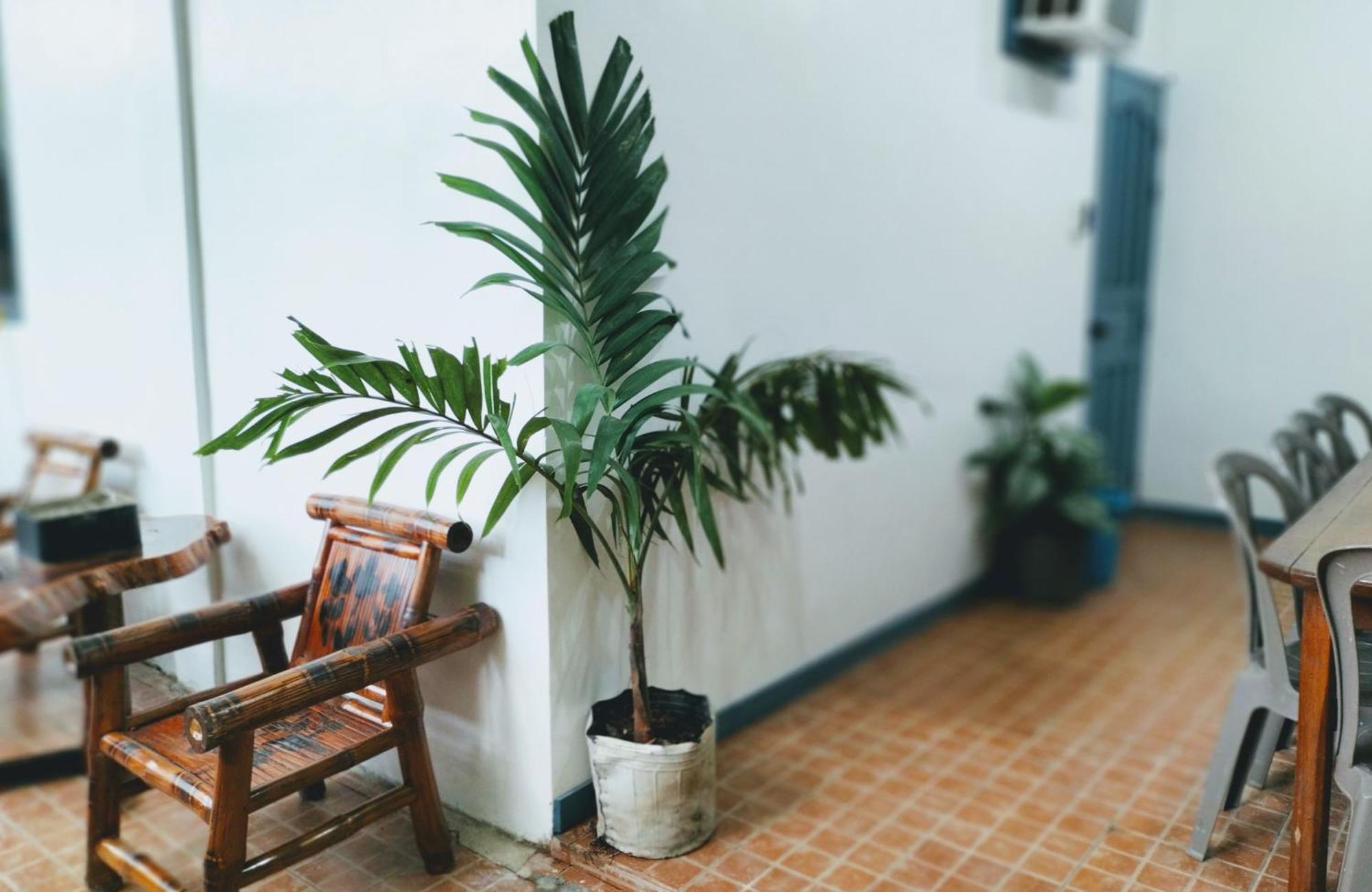 Full House Apartment El Nido Bagian luar foto